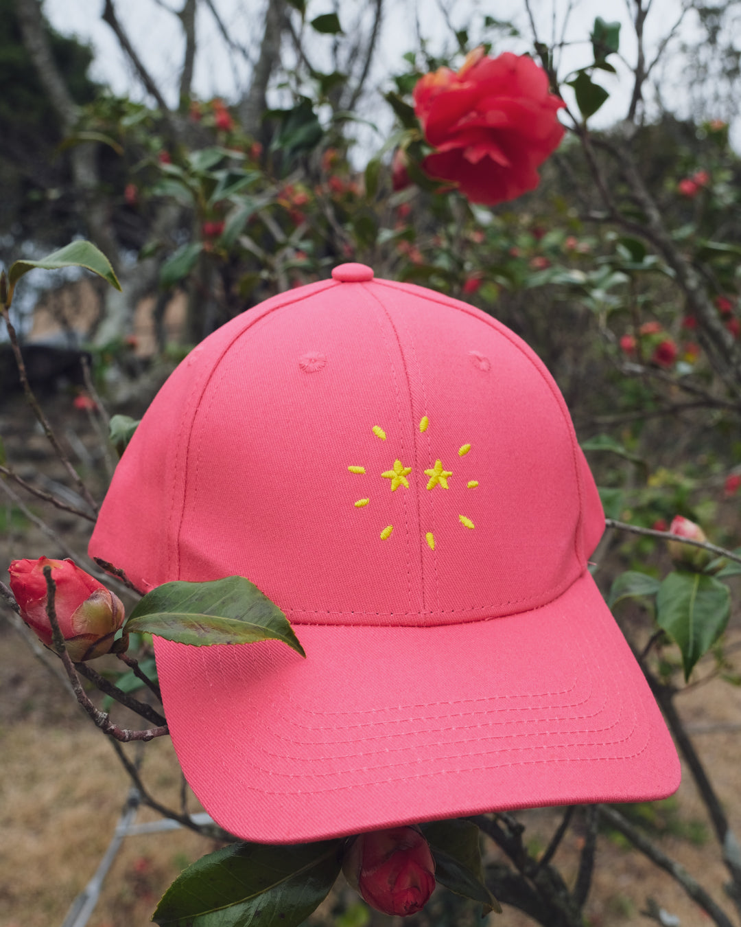 Caps Under The Sun