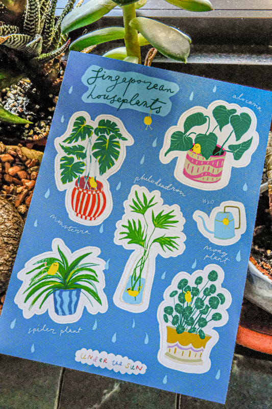 🥦 Singaporean Houseplants