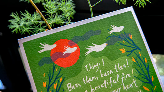 💧 The Reason They Can Fly